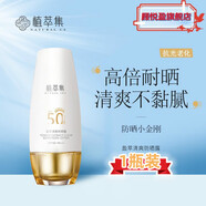 露卿沐植萃集旗艦防曬霜隔離美白SPF30+防I紫外線清爽不油膩成膜快男女 50gSPF50+【官方】