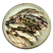 品鮮肴淡水魚小雜魚3-4種魚雜魚黃骨魚鯰魚白條漁民捕獲鮮活魚現(xiàn)殺水產(chǎn) 現(xiàn)殺三去凈膛 1000g