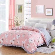 儷之影被套純棉斜紋公主風(fēng)被罩單人學(xué)生160x210花邊加大雙人全棉 贊那度愛(ài)妮玖玖 1點(diǎn)6*2點(diǎn)11點(diǎn)21點(diǎn)35床適用