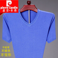 皮爾卡丹（pierre cardin）秋冬加厚羊絨男短袖V領(lǐng)純色休閑中年針織羊毛衫T恤 V領(lǐng)淺蘭 L 170L/建議120-140斤