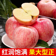 【超級低價(jià)】紅富士蘋(píng)果正宗洛川蘋(píng)果新鮮脆甜水果冰糖心整箱批發(fā) 實(shí)惠小果【50-60mm】?jì)糁?.5斤裝 限時(shí)特賣(mài)：只剩00:05分