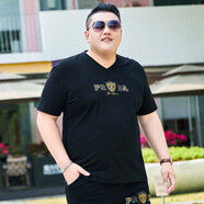 豪朗格（Haolangge）男裝胖子短袖t恤冰絲棉V領(lǐng)體恤寬松休閑彈力胖子上衣夏裝打底衫 黑色 6XL