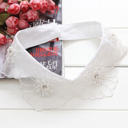 沐悠羽假領(lǐng)子女百搭領(lǐng)韓國蕾絲襯衫假衣領(lǐng)裝飾領(lǐng)子娃娃領(lǐng)季假領(lǐng) 11 唯美花朵