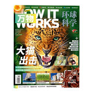 現貨 2025年1-11月【尋找泰坦尼克】萬(wàn)物雜志2026年1月起訂閱/打包 共12期 中小學(xué)生How it works環(huán)球科學(xué)自然科普期刊 8-15歲 2024年3月 【大貓出擊】