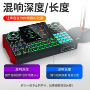 十盞燈G9聲卡手機(jī)電腦通用錄音唱歌喊麥戶外主播直播帶貨設(shè)備套裝快手抖音K歌專業(yè)調(diào)音聲卡全套k歌麥克風(fēng) G9單聲卡【送耳機(jī)】