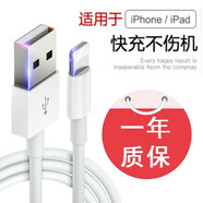 LYSB 適用于蘋(píng)果5S數(shù)據(jù)線iPhone5s手機(jī)充電器A1530閃快充線apple車(chē)載通用i5S 數(shù)據(jù)線【升級(jí)安全快充版】一條裝 0.5米