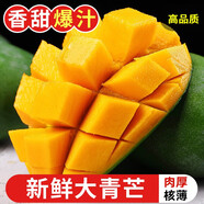 探味君 越南大青芒 應(yīng)季新鮮水果熱帶大芒果青皮金煌甜心芒果整箱 凈重8.5-8.99斤 【果王】肉厚更滿足