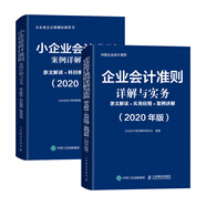 2020年新版 企業(yè)會(huì)計(jì)準(zhǔn)則詳解與實(shí)務(wù)+小企業(yè)會(huì)計(jì)準(zhǔn)則詳解與實(shí)務(wù) （京東套裝共2冊(cè)）