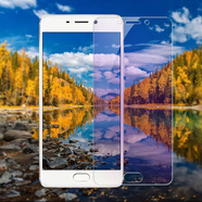 瘋殼 魅族魅藍(lán)Note6鋼化膜 M721Q全屏覆蓋手機(jī)貼膜N0TE6剛化膜防爆指紋 魅藍(lán)note6 【全透明】高清1片裝