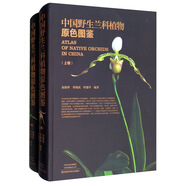 中國野生蘭科植物原色圖鑒（套裝上下冊）