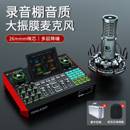 十盞燈 G10麥克風(fēng)聲卡套裝手機(jī)電腦通用抖音快手主播直播K唱歌帶貨喊麥錄音專業(yè)直播設(shè)備全套 P9+G10聲卡【大振膜】【26mm咪芯】