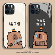 來(lái)無(wú)憂(yōu)錯了沒(méi)情侶手機殼任意機型水豚卡皮巴拉蘋(píng)果16有趣味11好玩iPhone14華為小米13蘋(píng)果15promax耐臟12 左邊1個(gè)殼【高清玻璃】7689 vivo/iqoo拍此項留言機型