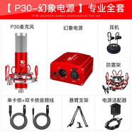 十盞燈桌面電容麥克風(fēng)直播設備聲卡專(zhuān)用48V麥克風(fēng)唱歌用K歌錄音無(wú)線(xiàn)動(dòng)圈麥話(huà)筒 P30麥克風(fēng)【48V大振膜麥】配幻象電源