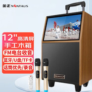 金正（NINTAUS） 廣場(chǎng)舞音響帶顯示屏戶(hù)外演出藍(lán)牙移動(dòng)拉桿音箱無(wú)線話筒K歌家用大功率唱歌視頻戶(hù)外音響視頻音響 21#木質(zhì)藍(lán)牙拉桿+1個(gè)話筒+64GU盤(pán)