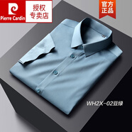 皮爾卡丹（pierre cardin）傲哥夏季短袖襯衫男士商務(wù)休閑竹纖維免燙冰絲無痕彈力薄款男襯衣 WH2X-02豆綠 38