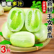 土地母親計劃 圣女果水果黃瓜小柿子千禧小西紅柿茄瓜果小黃瓜小青瓜代餐輕食 3斤 拇指玉女黃瓜