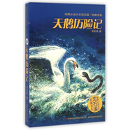 天鵝歷險(xiǎn)記/動(dòng)物小說大王沈石溪經(jīng)典書系