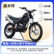 圣龍甲全新可上牌魔術(shù)師250越野摩托車整車250CC大越野技巧師林道攀爬車 黑色 宗申250cc風(fēng)冷