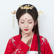 日常古裝漢服發(fā)飾發(fā)簪頭飾古風(fēng)復古流蘇古代頭飾發(fā)梳步搖舞蹈表演 金色全套裝送耳環(huán)