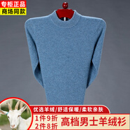 鄭爾丹斯特鄂爾多市產(chǎn)羊毛衫男半高領(lǐng)加厚毛衣中青年男士純色凈版針織打底衫 新花蘭 L 【175/92A】140斤-155斤