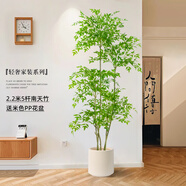 未歐南天竹仿真綠植盆栽高端輕奢室內(nèi)客廳裝飾擺件大型造景落地假花樹 220cm 5桿南天竹+米色花pp盆