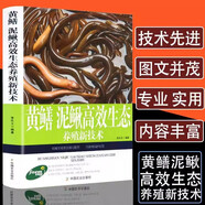 正版黃鱔泥鰍高效生態(tài)養(yǎng)殖新技術 一本書教你養(yǎng)好黃鱔泥鰍營養(yǎng)需求與飼料配制技術書籍鱔魚繁殖科學飼養(yǎng)飼料配方大全水產(chǎn)養(yǎng)殖技術 黃鱔 泥鰍高效生態(tài)養(yǎng)殖新技術