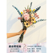 致仕高端干花花束真花風干客廳擺設茶幾永生花擺件臥室房間輕奢裝飾 邂逅櫻花雨(加高加量)適合更大花 干花包
