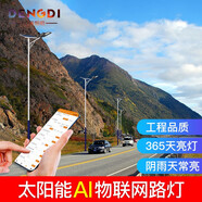 燈蒂 智能AI物聯(lián)網(wǎng)太陽(yáng)能路燈帶桿庭院燈戶(hù)外市政道路工程高桿照明燈 80W+7米錐桿【手機(jī)控制】