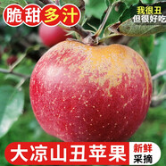 探味君 正宗大涼山丑蘋果 當(dāng)季時令新鮮水果四川冰糖心蘋果紅富士 生鮮 凈重8.5斤 單果70mm-75mm
