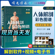 人體解剖色彩圖譜郭光文人民衛(wèi)生出版社奈特人體解剖學(xué)圖譜第八版+系統(tǒng)解剖學(xué) 人體器官結(jié)構(gòu)解剖彩色圖譜 人體解剖色彩圖譜