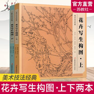 美術技法經典 花卉寫生構圖上下2本套裝 中國工筆花鳥畫大師李長白著 兒童初學繪畫本