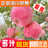 洛川蘋果陜西延安特產(chǎn)紅富士時令蘋果水果禮盒送蘋果生鮮新鮮脆甜整箱批發(fā) 5斤75-80mm（凈重4.5斤）中果