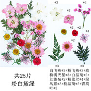 森邂禮干花書簽手工diy材料瓶子里的春天收集冊(cè)透明樹葉標(biāo)本塑封膜粘貼畫玻璃制作教學(xué)標(biāo)本收集秋天 花朵粉白黛綠25片