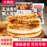 大希地 牛肉餡餅早餐半成品 韭菜雞蛋豬肉大蔥餡家用營(yíng)養(yǎng)早飯手抓餅煎餅 牛肉餡餅2袋+豬肉大蔥餡餅2袋