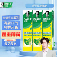 好來(lái)黑人（DARLIE）牙膏雙重薄荷225g大克重家庭用組合裝清新口氣 225g*3支共675克