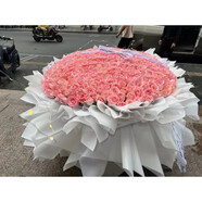 維爾斯全國鮮花同城配送紅玫瑰花束送女生朋友生日禮物小時(shí)達(dá)表白訂婚 520朵粉玫瑰【真情告白】 大型花束需提前預(yù)定