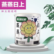 花e流創(chuàng)意diy綠植小盆栽神奇植物室內(nèi)迷你桌面兒童種植罐頭兒童節(jié)禮物 太陽花一罐