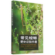 常見螳螂野外識(shí)別手冊(cè)