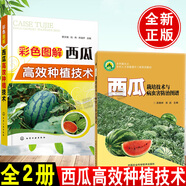 【全2冊】西瓜栽培技術與病蟲害防治圖譜+彩色圖解西瓜高效種植技術西瓜種植栽培技術育苗育種教程 水果種植西瓜病蟲害防治技術