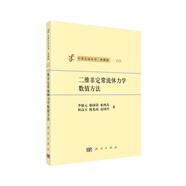 計算方法叢書(shū)10：二維非定常流體力學(xué)數值方法（典藏版）