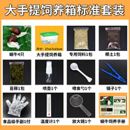 寵以沫寵物白玉蝸?；铙w巨型大蝸牛寵物觀(guān)賞學(xué)生科學(xué)實(shí)驗教學(xué)小蝸牛套裝 手提大箱標準套裝 4只蝸牛