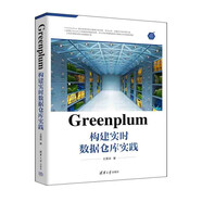 Greenplum構(gòu)建實(shí)時(shí)數(shù)據(jù)倉(cāng)庫(kù)實(shí)踐（大數(shù)據(jù)技術(shù)叢書(shū)）