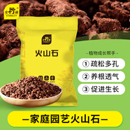 史丹利火山石顆粒紅火山巖底砂天然多肉蘭花專(zhuān)用養(yǎng)花紅色鋪面石5斤