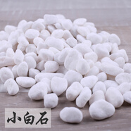 白石子白色小石頭多肉盆栽花盆鋪面魚缸裝飾造景底砂碎石鵝卵石 500克