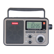 德生（Tecsun） RP-309數(shù)碼音響型收音機(jī)U盤TF卡音頻播放大音量 標(biāo)配