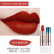 蘭奕口紅不沾杯不掉色防水持久滋潤(rùn)保濕 防水口紅保濕口紅番茄紅奶茶 （A501#）番茄紅棕zc