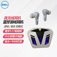 戴爾（DELL）戴記嚴(yán)選 真無(wú)線藍(lán)牙耳機(jī)耳塞降噪 充電入耳式電競(jìng)游戲耳機(jī)電腦網(wǎng)課耳麥 RGB燈效 GT2323D TWS 低音防水長(zhǎng)續(xù)航 白色