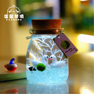 七流婉marimo幸福海藻球微景觀(guān)生態(tài)瓶玻璃瓶迷你盆栽創(chuàng  )禮物水培植 頂配天鵝湖150ml(帶燈)1歲1顆