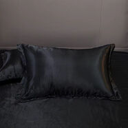 何佳功換季絲枕套專(zhuān)柜一對裝夏季涼感蠶絲枕頭套絲滑美容一只SN 黑色專(zhuān)柜尾貨 48*74cm枕套一對