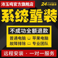 遠(yuǎn)程安裝電腦系統(tǒng)win10升級win11正版原win7重裝蘋果筆記本mac雙系統(tǒng)虛擬機(jī)做臺式維修xp xp/win7/win10/win11系統(tǒng)安裝